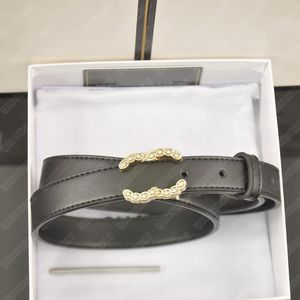 Riemen voor dames modeontwerper riem dames casual gouden zilveren gesp luxe letters tailleband voor dames breedte 2,5 cm Ceinture 234r