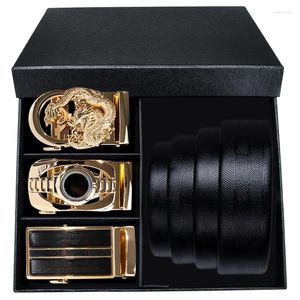 Cinturones Hi-Tie Belt And Box For Men Gift Cow Genuine Leather 3 Hebillas Business Men's Gold Design