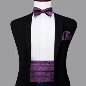Riemen hi-tie luxe ontwerper paarse paisley cummerbund vlinderdas set formele smoking corset elastische riem voor mannen bruiloft cummbunds