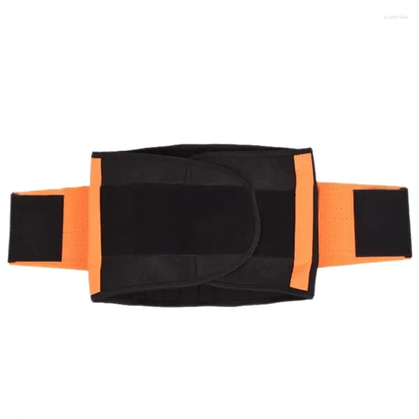 Ceinture de soutien lombaire pour le bas du dos soulagement de soulagement