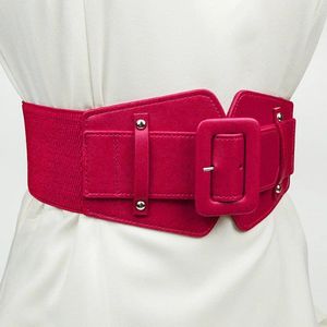 Cinturones PU cuero elástico ancho cintura cinturón para mujer moda vestido decoración elástico clásico cincha retro elegante camisa
