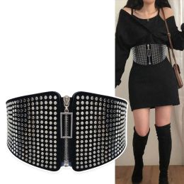 Ceintures punk rivet incrustation largeur corset élastique ceinture femelle goth et taille stretch stretch cummerbunds