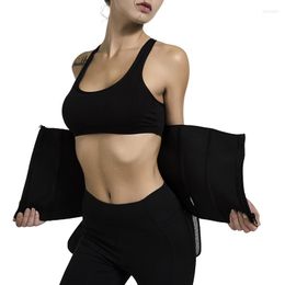 Ceintures Sexy Ceinture Corset Ipper Tummy Tuck Sports Body Shaping Chaîne Taille Pour Les Femmes