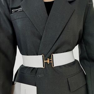 Ceintures simples dames ceinture élégante 100 avec confort de taille élastique