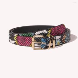 Cinturones Serpiente Animal Patrón Moda Diseñador de lujo Marca Damas Pin Hebilla Mujeres Goth PU Vestido de cuero Correa para Jeans Cintura