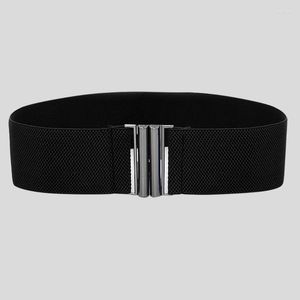 Riemen gereedschapsriem voor vrouwen stretch buckle lady taille brede elastische jurk mode dikke mannen riembelt smal2222