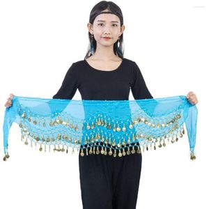 Ceintures femmes en mousseline de soie ceinture de danse du ventre hanche écharpe Sequin ceinture jupe 3 rangées thaïlande inde arabe