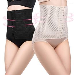 Cintos Mulheres Látex Cintura Trainer Corpo Shaper Com Zíper Cincher Corset Top Slimming Belt Fitness Bainha Shapewear Plus SizeBelts Fier22