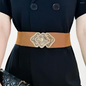 Belts pour femmes à la mode élastique grande variété de robe de taille de boucle dorée de créatrice de ceinture