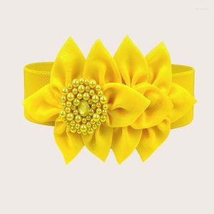 Ceintures jaune bleu marine ceinture élastique femmes Style coréen grande fleur décorative à la mode tout Match large taille joint robe 62CM