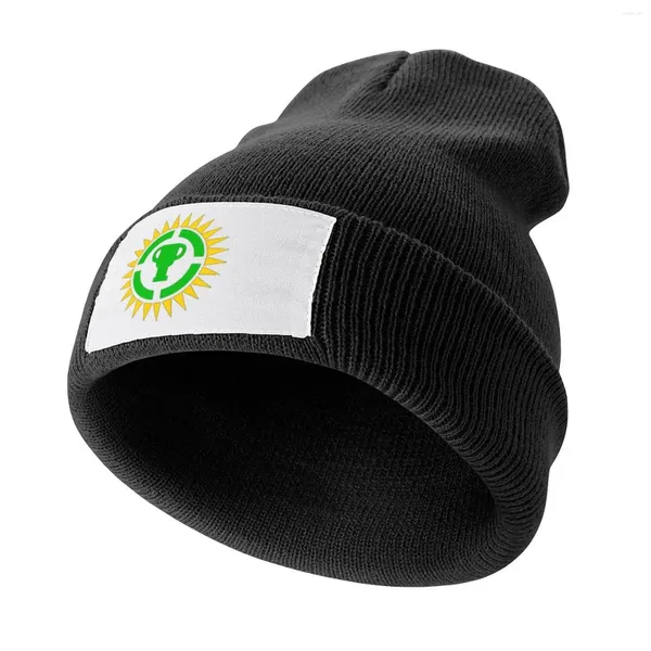 Bérets Game Theory Logo idée cadeau casquette tricotée chapeau homme pour le soleil femme