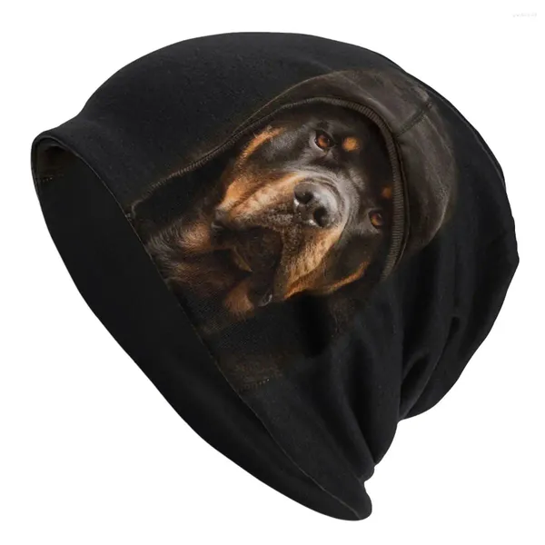 Berets Rottweiler Mélange Dogs Fashion Bonnet Thin for Men Women Women Skullies Bons de ski Caps