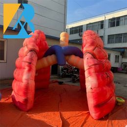 Réplica de pulmón inflable gigante decorativo a medida para accesorios de exhibición