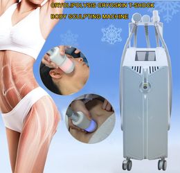 Mejores resultados 5 manijas CRYO T almohadillas de choque y varillas Cryoslimming Máquina CRYOSKIN para reducción de celulitis y grasa