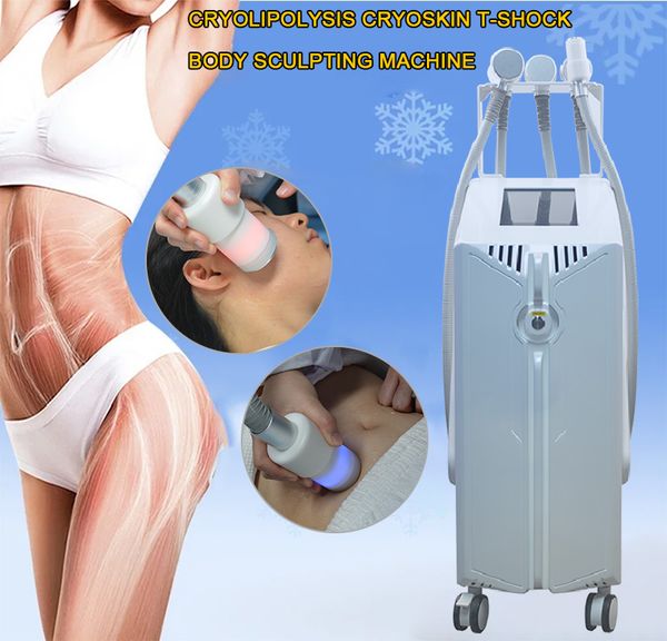 Meilleurs résultats 5 poignées CRYO T coussinets de choc et baguettes cryoslimming graisse réduction de la cellulite Machine CRYOSKIN