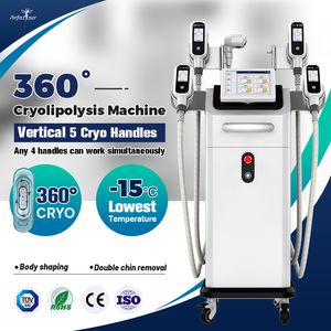 FDA CE cryolipolyse sculptant le gel des graisses minceur équipement vertical cryo perte de poids corps minceur machine livraison gratuite