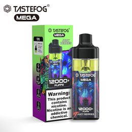 Bestverkopende wegwerp e-sigarettenkristallen vape-doos Tefofg Mega Vape 12000 / 12K trekjes