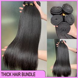 Best verkopende graad 12a Dubbel getrokken dikke paardenstaart Maleisische hair extensions 100% menselijk haar inslag Peruaanse Indiase Braziliaans haar zijdeachtige rechte 3 bundels