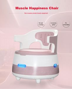 Meilleure vente HI-EMT plancher pelvien réparation musculaire bonheur chaise machine traitement de l'incontinence urinaire Ems sculpture EMS-chaise équipement de beauté de serrage vaginal