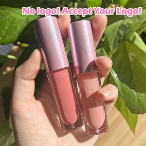 GEEN logo Bestverkopende lipgloss Groothandel Waterdichte meerkleurige matte en glanzende lipgloss Accepteer uw logo op maat Private Label