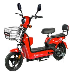 Vélo 48v vélo électrique adulte mâle et femelle Batterie au lithium à deux scooter à deux roues Étudiant pédale d'absorption de choc électrique