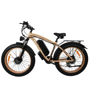 Bicycle US Stock Electric Bike 2000W Double moteur puissant 48V15AH Lithium Battery Batter