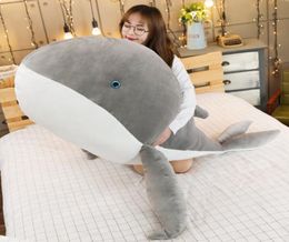 Grand Animal baleine en peluche dessin animé dauphin poupée baleine bleue oreiller pour enfants fille cadeau décoration 59 pouces 150 cm DY507177337444