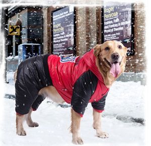 Big Dogs King's Clothes Samoyeds Golden Retriever op Groot Ras Hond Kleding Warm Winter Jas Vest Gratis Verzending