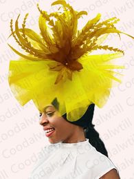 Grand fascinateur chapeau femmes mariage élégant plume pilule caisson royal fête des dames féminines églises en soirée chapeau 240401