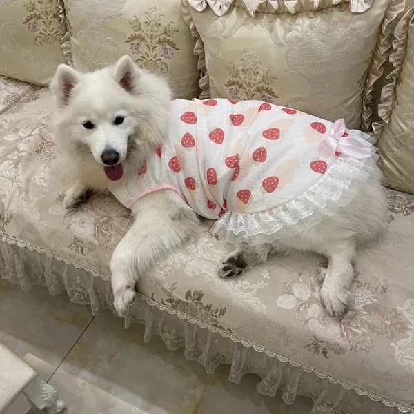 Big Pet Dog Clothes Summer grande robe jupe corgi shiba inu samoyed husky labrador doréver costume vêtements 240429