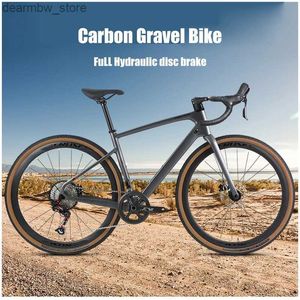 Bikes Frein de disque hydraulique de gravier en carbone
