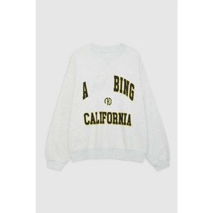 Sweat-shirt Bing New Niche Designer Designer AB Hoodie Pullover Casual Fashion Lettre vintage Imprimé Colon Round Coton Trend Loose Pull polyvalent YGY1