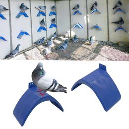 Vogelkooien 10 pc's huis papegaaien plastic ruststandaard woning woning shellhard benodigdheden 230130