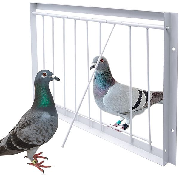 Cages à oiseaux 3040 * 26cm Porte d'entrée Barres de fil métallique Cadre Entrée simple Portes de piégeage Cage Racing Fournitures pour cages à oiseaux 230719