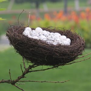 Cages À Oiseaux 7 Tailles Nichoir Artificiel Oeufs Panier De Rangement Nid En Rotin Titulaire De La Maison DIY À La Main Cage À Oiseaux Pâques Fenêtre Décor