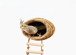 Cages d'oiseau Cage en plein air Ornement Ornement en bois suspendu Perrot Birds House Nest Small Supplies Gabbia par accessoires Uclli DL60NL3638963