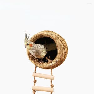 Vogelkooien Outdoor Feeder Cage Ornament Wood Hangende Parrot Birds House Nest Small Supplies Gabbia Per Uccelli Accessoires DL60NL