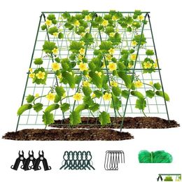 Jaulas para pájaros Soportes Plegable Pepino Enrejado Conjunto de jardín Clips de escalada desmontables para plantas Vid Planta al aire libre Flores Entrega de gotas Dhund