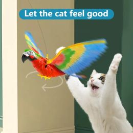 Vogel interactief katspeelgoed hangende adelaar vliegende vogel katten plagen kattenstick krassen kitten kitten hondenspeelgoed