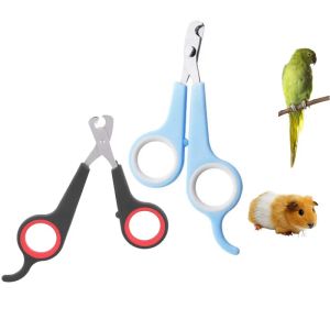 Onglet ongle Clipper Parrot Claw Trimmer Toileth Toothing Ciseaux Nail Bird Bird Small Animaux Accessoire pour hamsters Rabbit