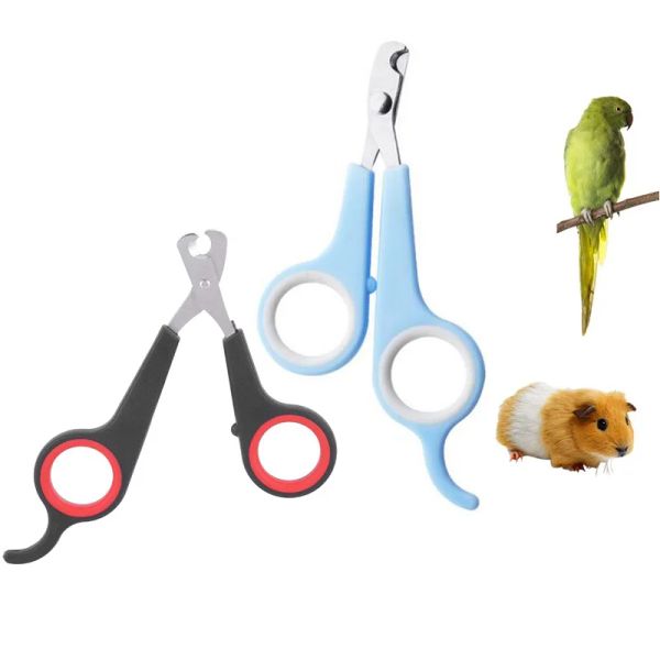 Onglet ongle Clipper Parrot Claw Trimmer Toileth Toothing Ciseaux Nail Bird Bird Small Animaux Accessoire pour hamsters Rabbit