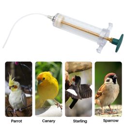 Stéringe d'alimentation en eau des perroquets pour les oiseaux pour la volaille Chick Small Pet Medicine Feeder Spécifications et 1 accessoire de tuyaux