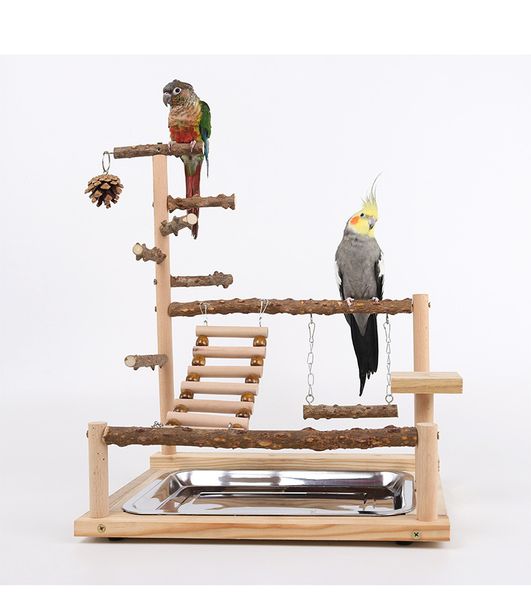 Perroquets d'oiseaux Playstand Birdcage Play Gym Wood Bird Exercise Playground Grand support de perroquet avec cloche à mâcher Jouets Bird Feeding Cups Échelle Suspendue Swing