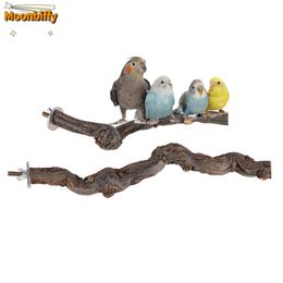 Perche d'oiseau perroquet debout branche des barres de support en bois naturel cage Cage en bois jouet en bois pour les petits à moyens accessoires d'oiseaux d'oiseaux