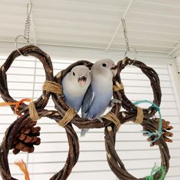Vogels papegaaien handgeweven hangende ring paars