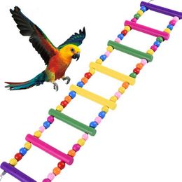 Vogels Huisdieren Paprots Ladders Klimmen Speelgoed Hangen Kleurrijke Ballen met natuurlijk hout
