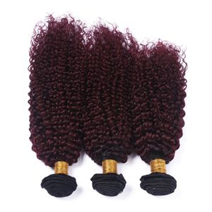 Paquetes de armadura de cabello virgen indio Ombre negro y borgoña 3 piezas Extensiones de trama de cabello rizado rizado # 1B / 99J Vino rojo Ombre Tejidos de cabello humano