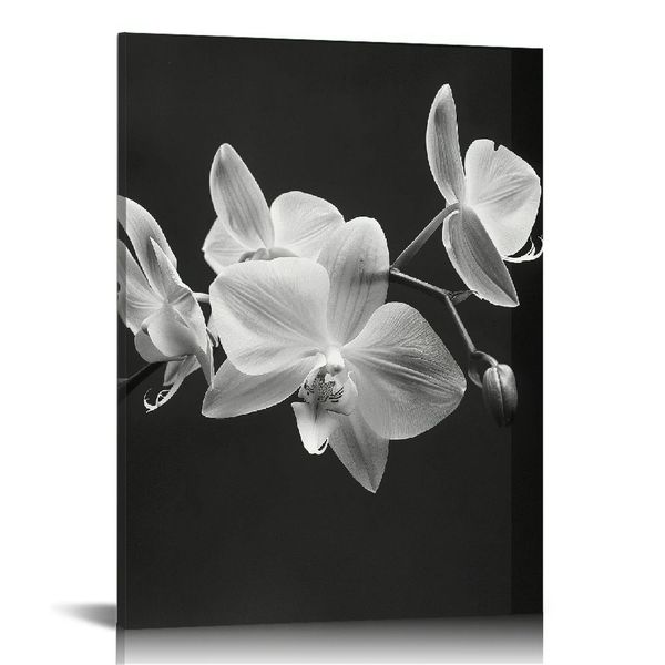 Black and White Flower Toile Art Art Orchid Pictures murales Décor de mur zen Paint Impression de salle de bain Cadre de décoration de salle de yoga (orchidée 20x16inch)