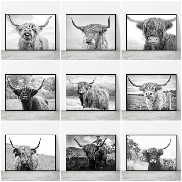 Noir et blanc Highland vache toile peinture imprime et affiches animaux sauvages bétail toile peintures pour salon décor