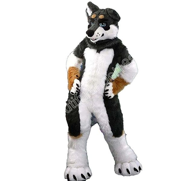 Costume de mascotte Husky chien loup renard noir et blanc personnage de dessin animé tenue Costume fête d'halloween carnaval en plein air festival déguisement pour hommes femmes